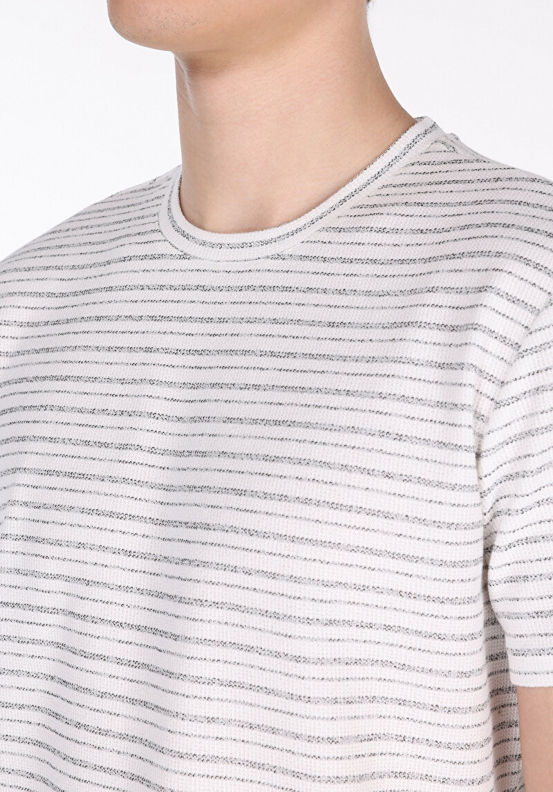 Regular Fit Yuvarlak Yaka Çizgili Erkek Siyah Kısa Kol Tişört