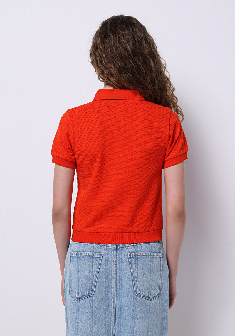 Slim Fit Polo Yaka Düz Kadın Kirmizi Kısa Kol Tişört