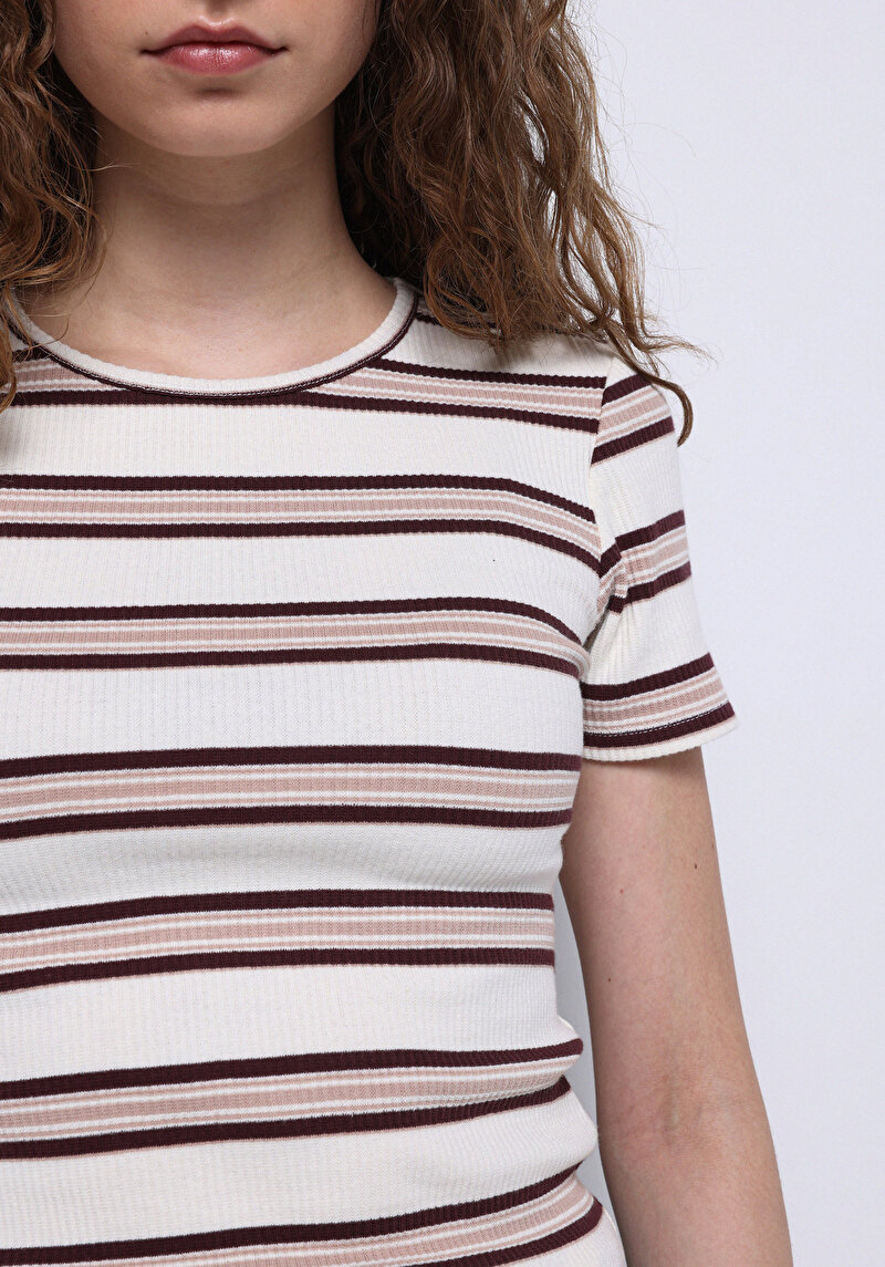 Slim Fit Yuvarlak Yaka Çizgili Kadın Ekru Kısa Kol Tişört