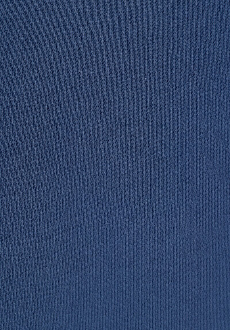 Regular Fit   Erkek Mavi Sweatshirt