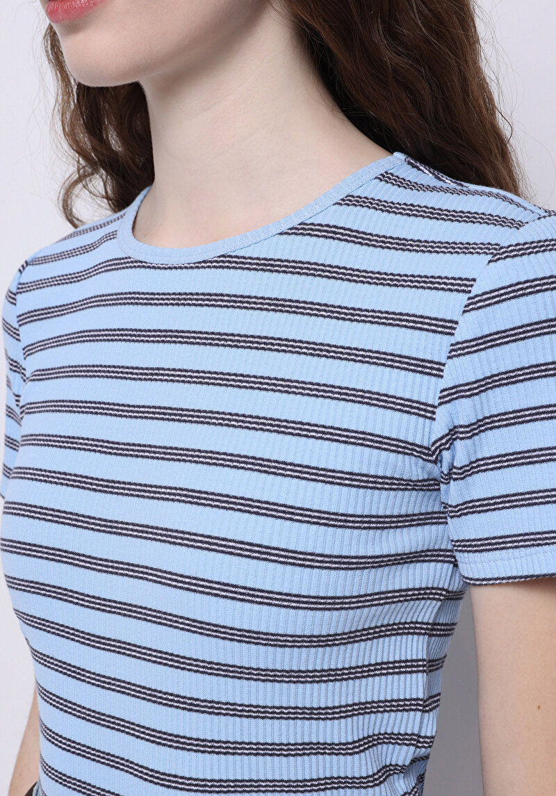 Slim Fit Yuvarlak Yaka Çizgili Kadın Mavi Kısa Kol Tişört