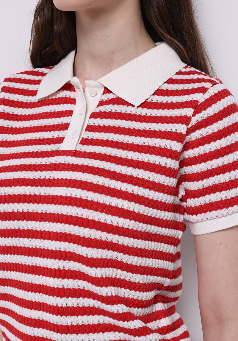 Slim Fit Polo Yaka Çizgili Kadın Kirmizi Kısa Kol Tişört