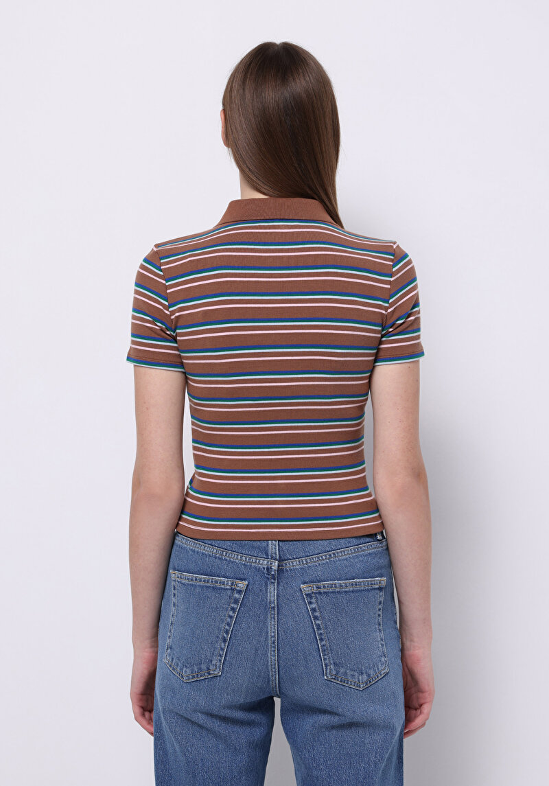 Slim Fit Polo Yaka Çizgili Kadın Kahverengi Kısa Kol Tişört