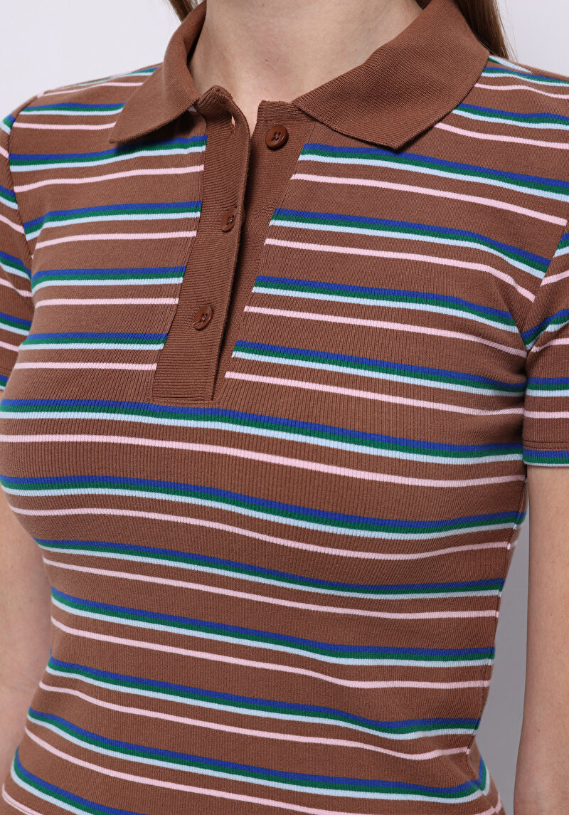 Slim Fit Polo Yaka Çizgili Kadın Kahverengi Kısa Kol Tişört