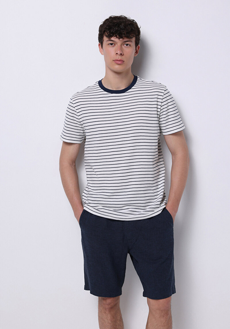 Regular Fit Yuvarlak Yaka Çizgili Erkek Mavi Kısa Kol Tişört