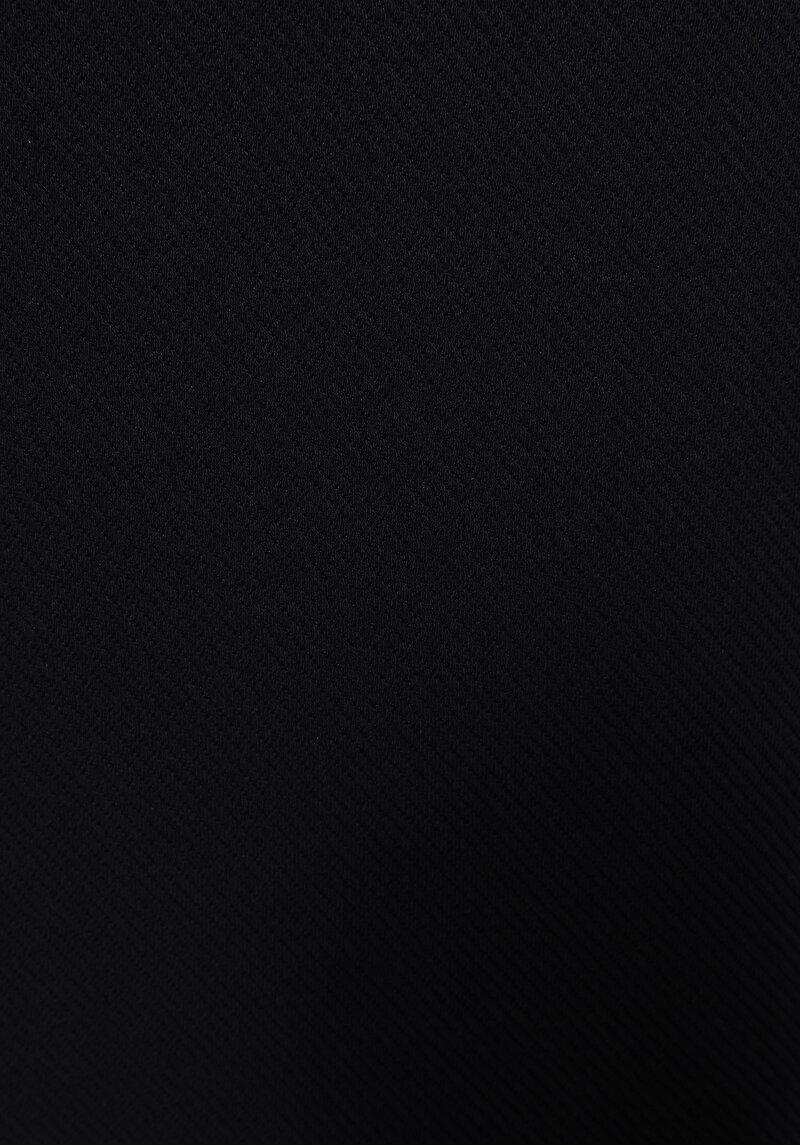 Regular Fit    Erkek Siyah Ceket