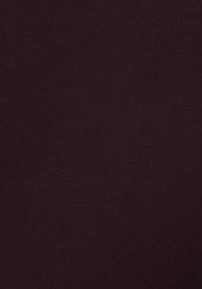 Regular Fit   Erkek Bordo Sweatshirt