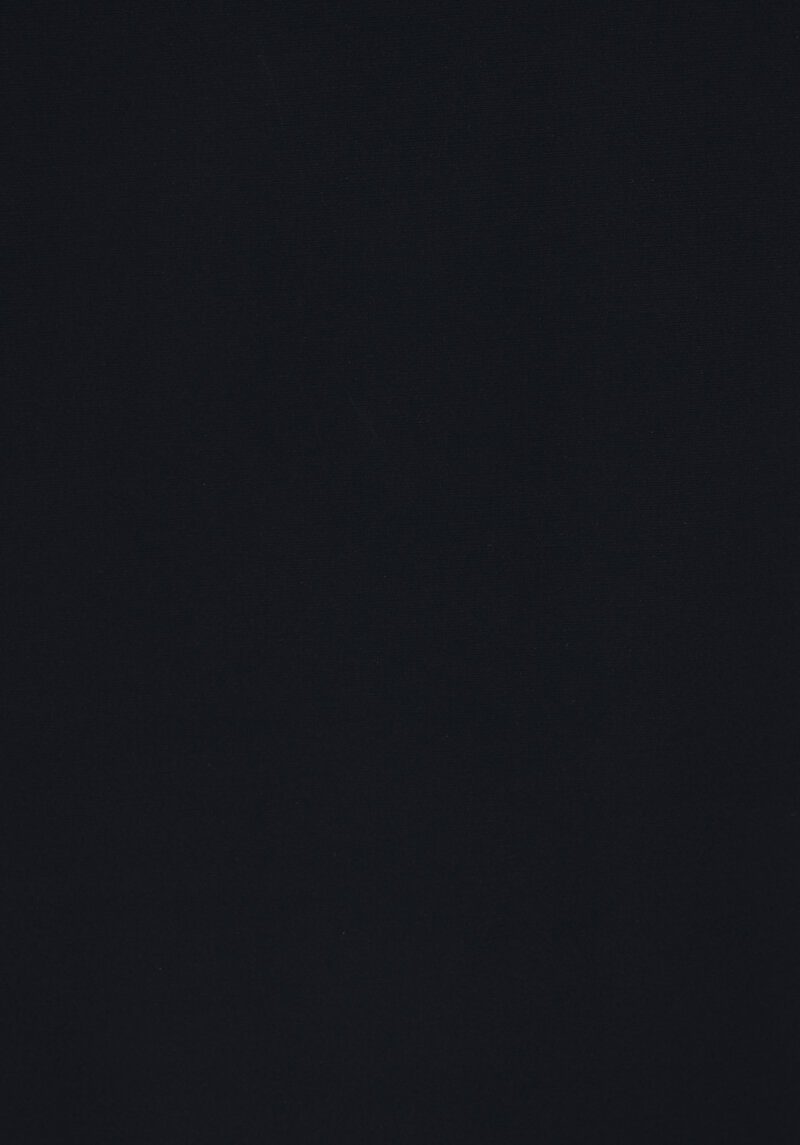 Regular Fit     Erkek Lacivert Mont