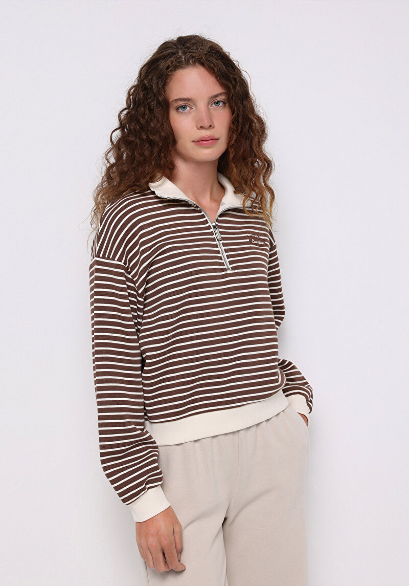 Regular Fit Polo Yaka Çizgili Kadın Kahverengi Sweatshirt