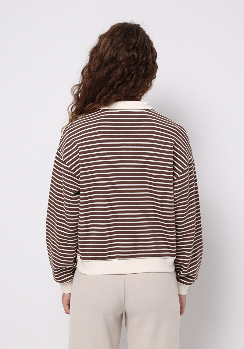 Regular Fit Polo Yaka Çizgili Kadın Kahverengi Sweatshirt