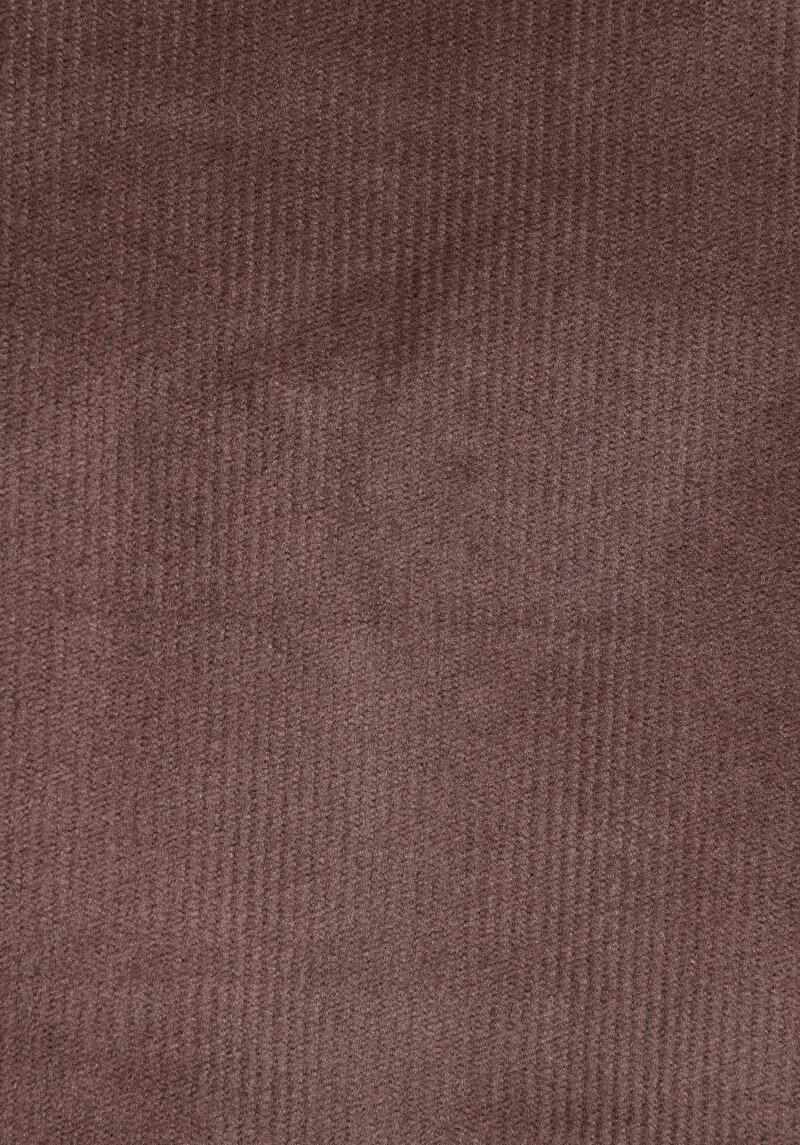 Regular Fit Polo Yaka Nakışlı Kadın Kahverengi Sweatshirt