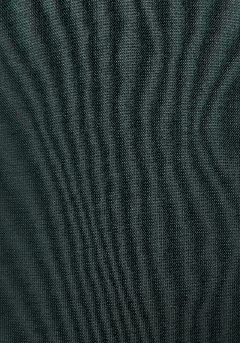 Comfort Fit   Erkek Yeşil Sweatshirt