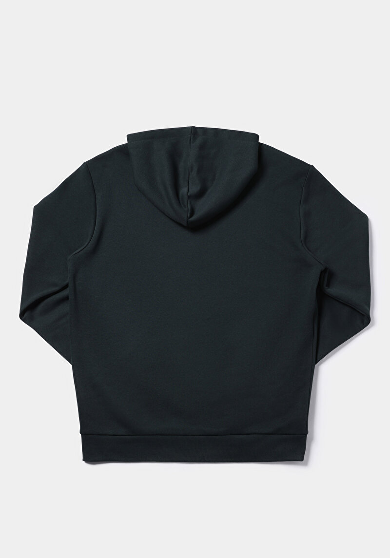 Regular Fit   Erkek Yeşil Sweatshirt