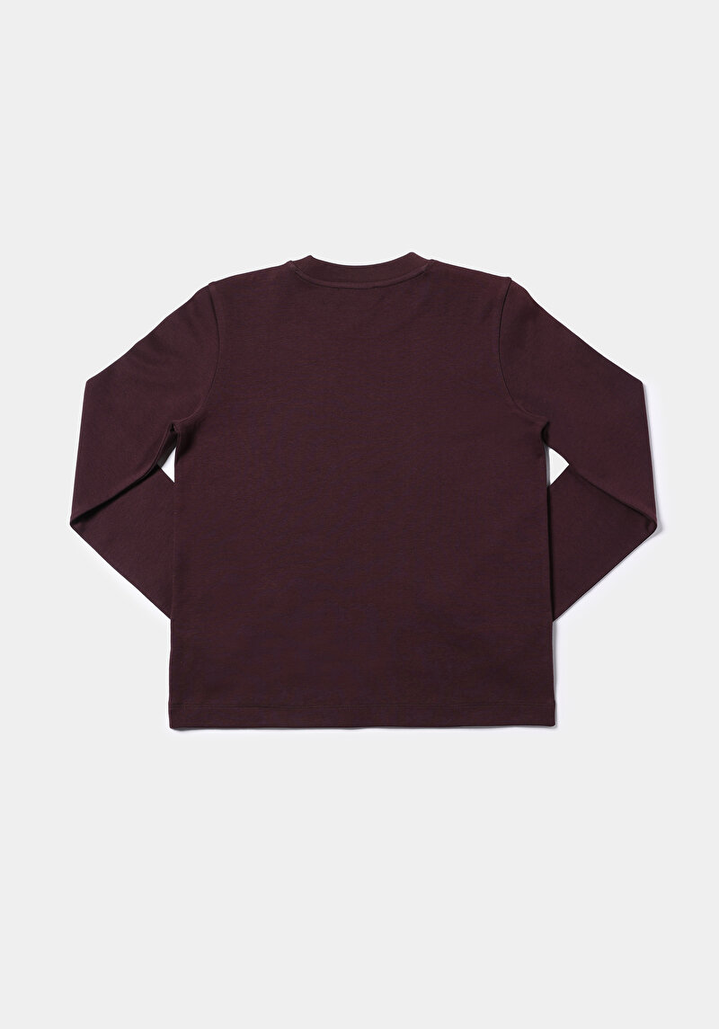 Regular Fit Yuvarlak Yaka Düz Kadın Mor Uzun Kol Tişört