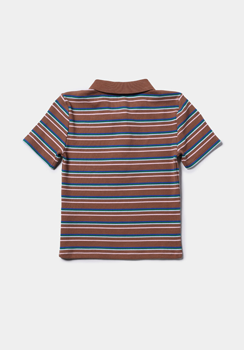 Slim Fit Polo Yaka Çizgili Kadın Kahverengi Kısa Kol Tişört