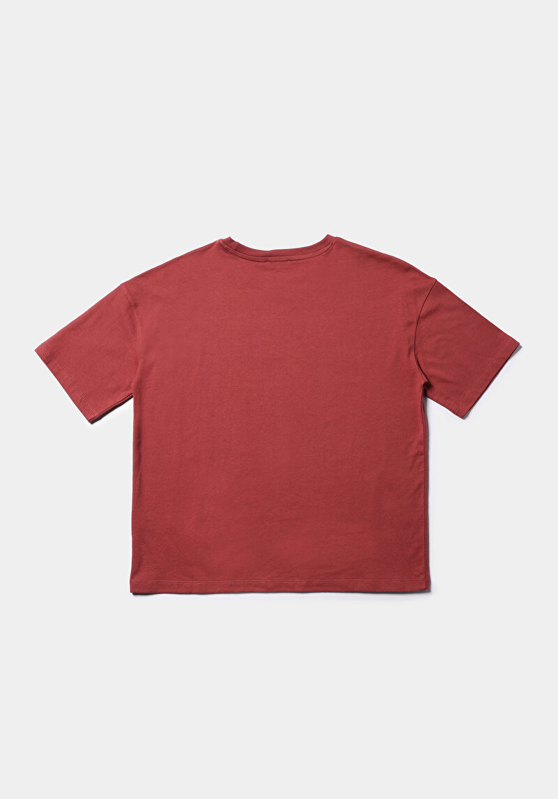 Regular Fit Yuvarlak Yaka Nakışlı Kadın Turuncu Kısa Kol Tişört