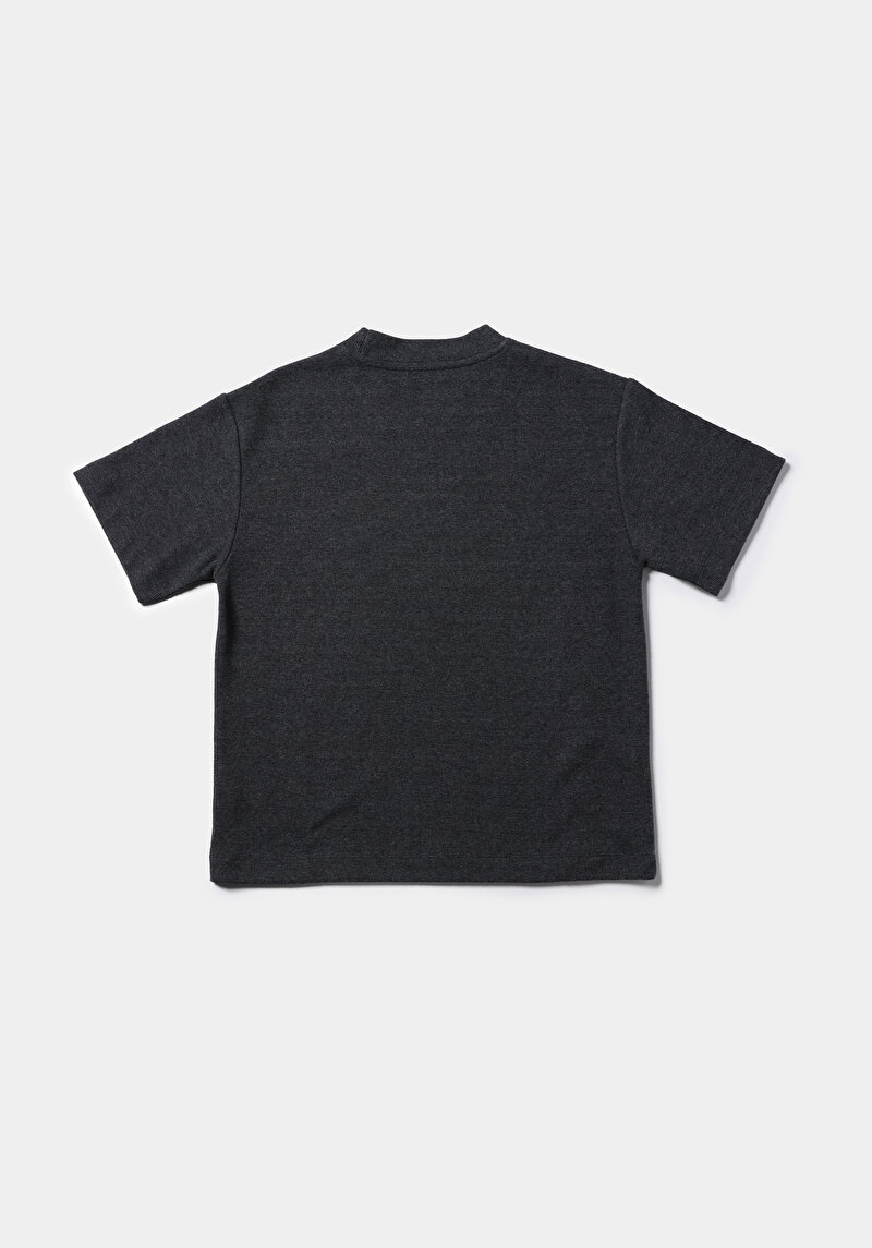 Regular Fit Yuvarlak Yaka Düz Kadın Gri Kısa Kol Tişört