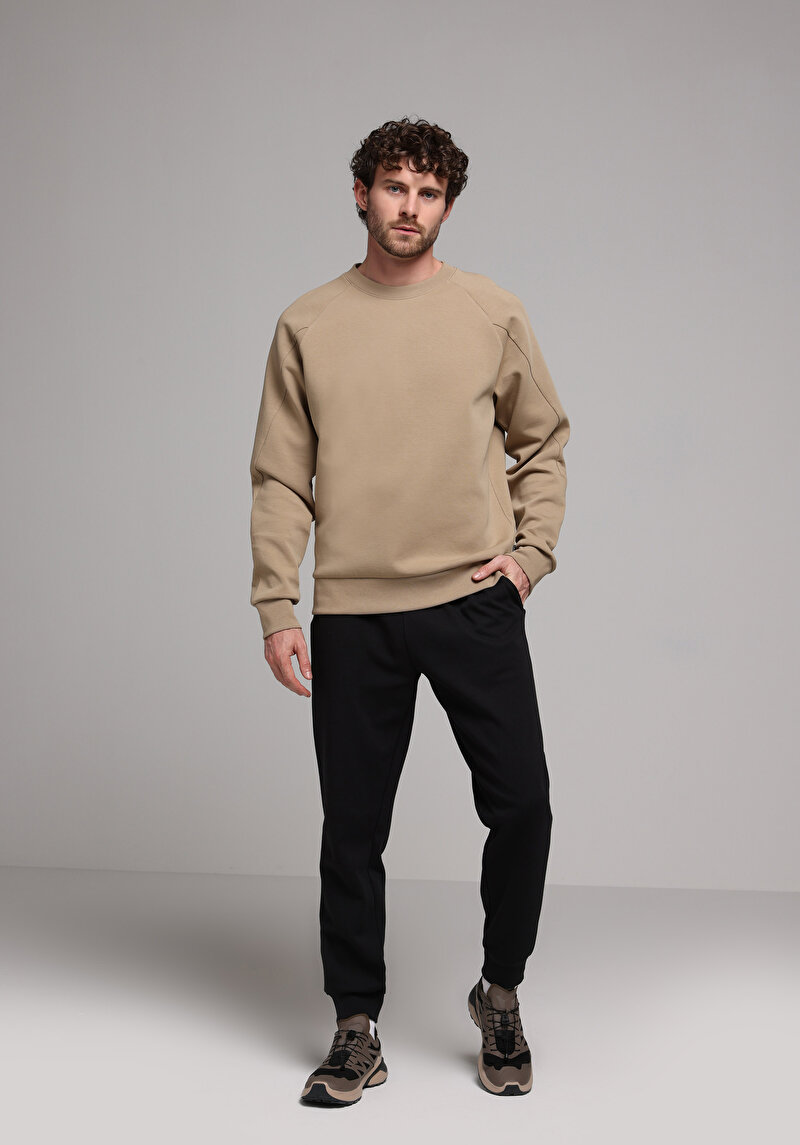 Regular Fit   Erkek Bej Sweatshirt