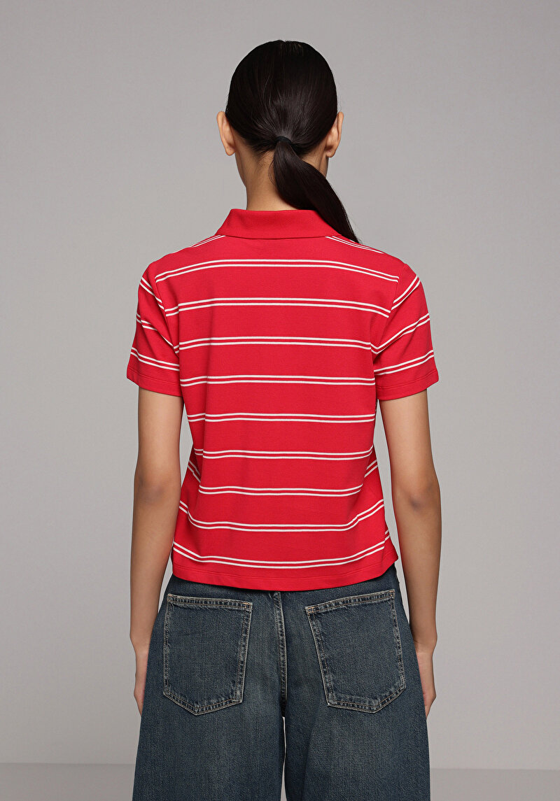Regular Fit Yuvarlak Yaka Çizgili Kadın Kirmizi Kısa Kol Tişört