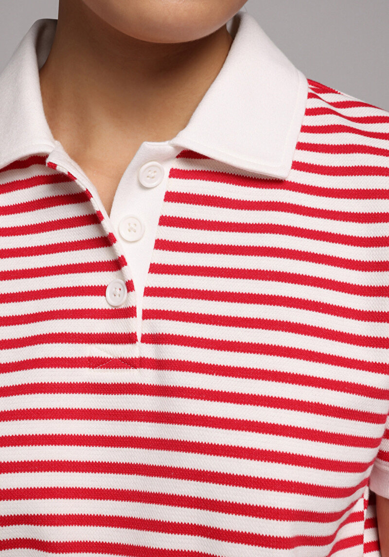 Slim Fit Polo Yaka Çizgili Kadın Kirmizi Kısa Kol Tişört