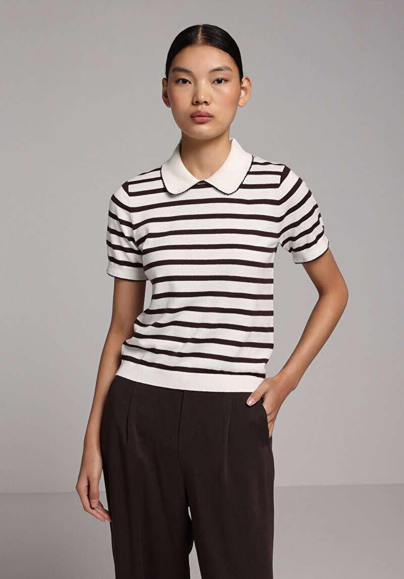 Slim Fit Polo Yaka Çizgili Kadın Kahverengi Kısa Kol Kazak