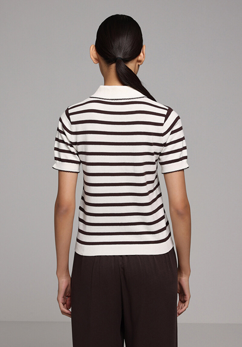 Slim Fit Polo Yaka Çizgili Kadın Kahverengi Kısa Kol Kazak