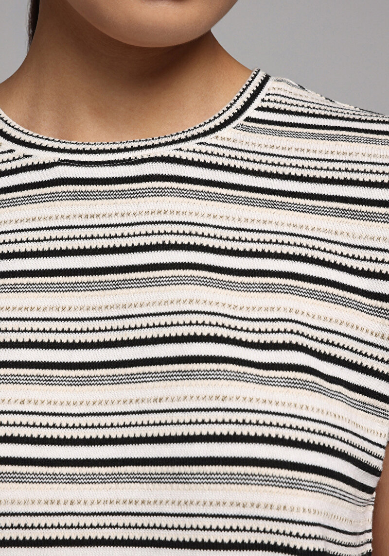 Regular Fit Yuvarlak Yaka Çizgili Kadın Çok Renkli Kısa Kol Tişört