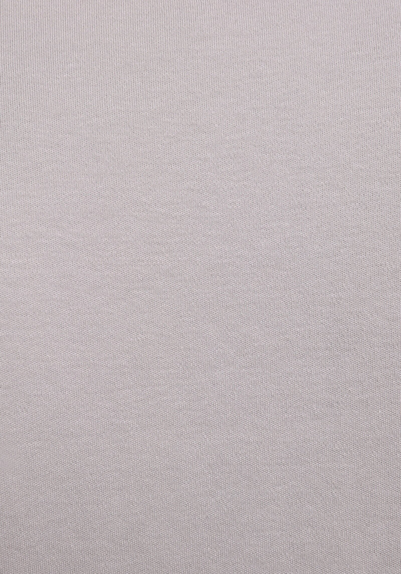 Regular Fit Yuvarlak Yaka Düz Erkek Gri Kısa Kol Tişört