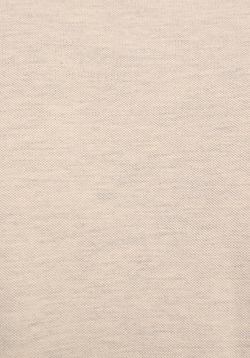 Regular Fit Polo Yaka Düz Erkek Taş Kısa Kol Tişört