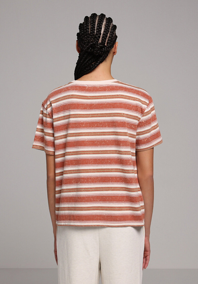 Regular Fit Yuvarlak Yaka Çizgili Kadın Kahverengi Kısa Kol Tişört