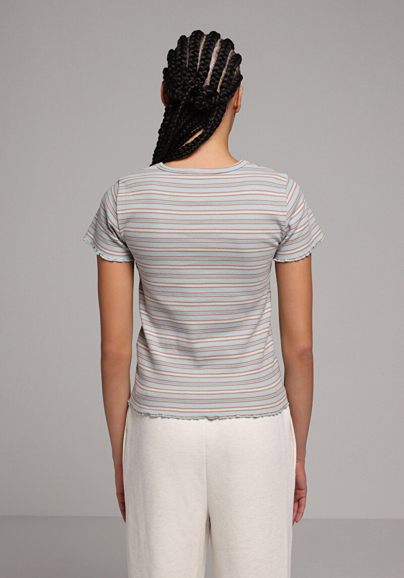Slim Fit Yuvarlak Yaka Çizgili Kadın Çok Renkli Kısa Kol Tişört