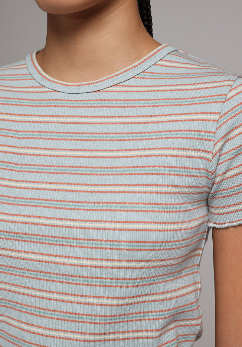 Slim Fit Yuvarlak Yaka Çizgili Kadın Çok Renkli Kısa Kol Tişört