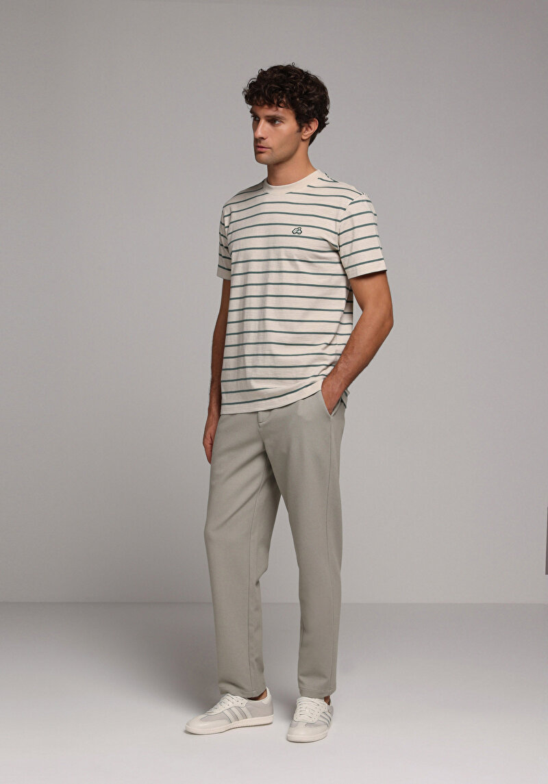 Regular Fit Yuvarlak Yaka Çizgili Erkek Bej Kısa Kol Tişört