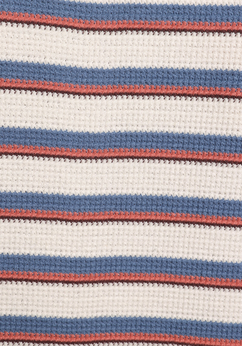 Regular Fit Polo Yaka Çizgili Kadın Çok Renkli Kısa Kol Tişört