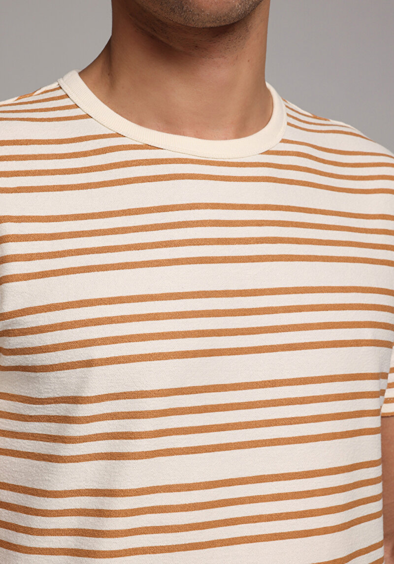 Regular Fit Yuvarlak Yaka Çizgili Erkek Kahverengi Kısa Kol Tişört