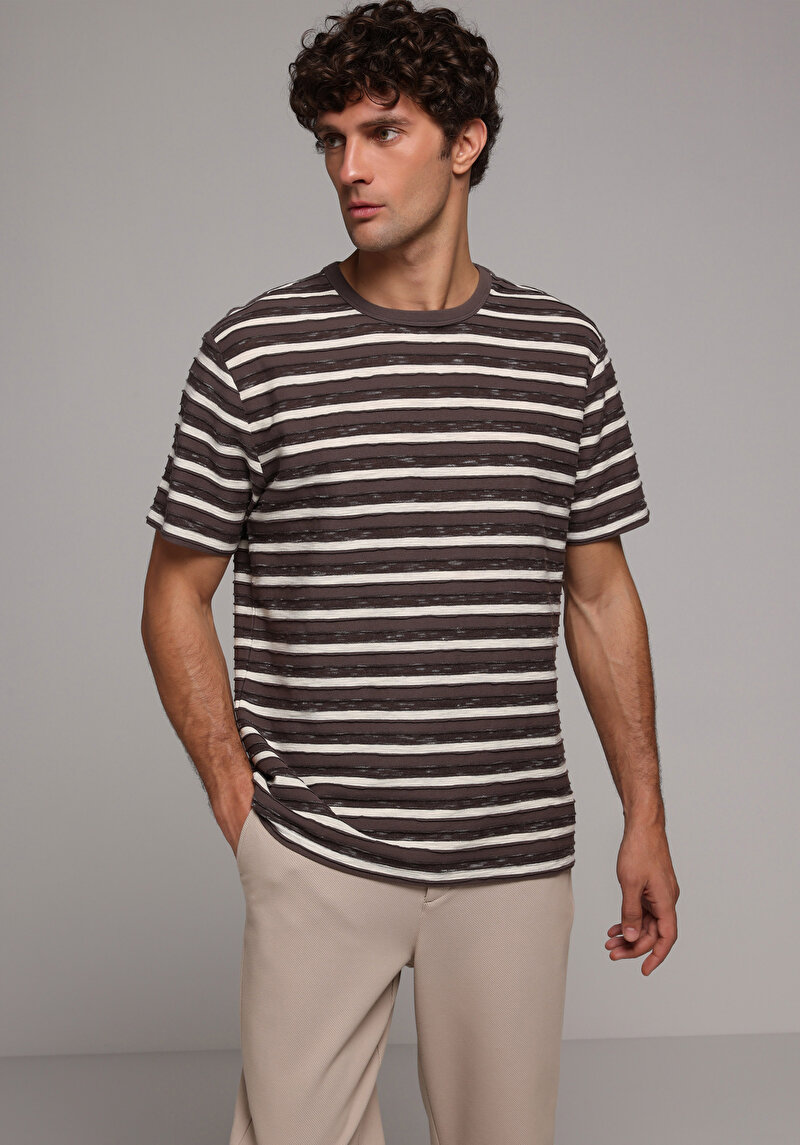 Comfort Fit Yuvarlak Yaka Çizgili Erkek Kahverengi Kısa Kol Tişört