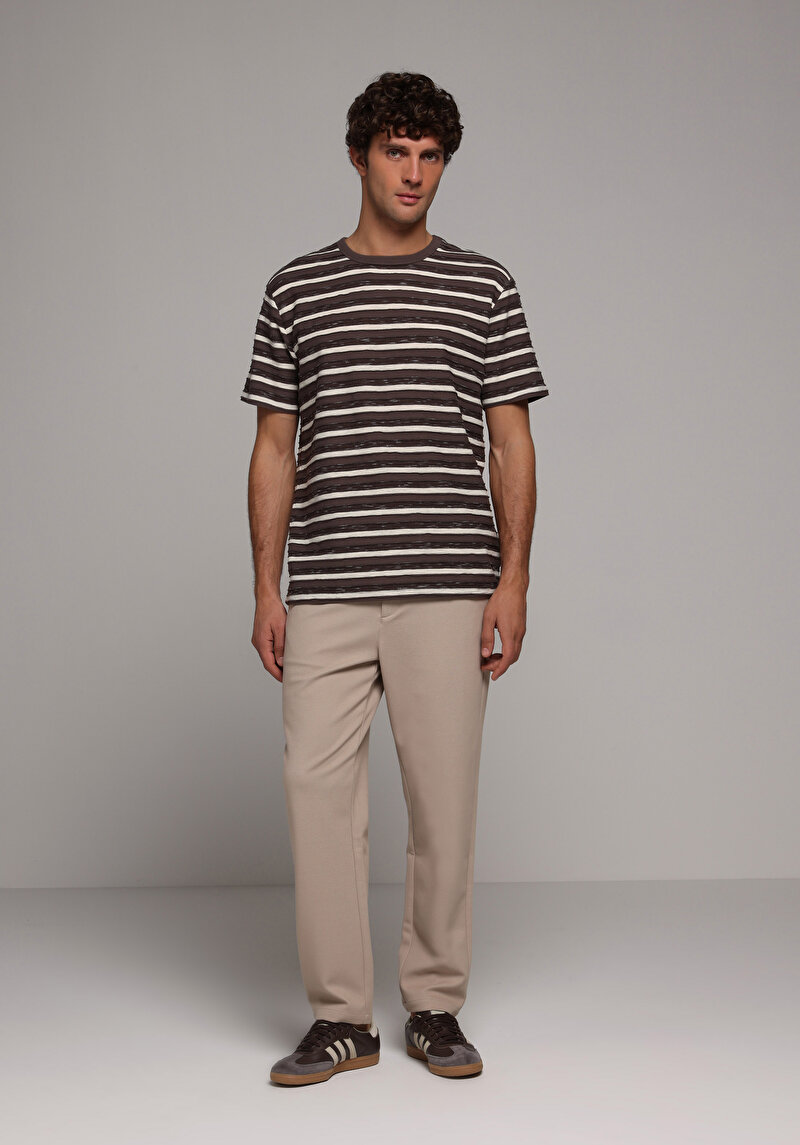 Comfort Fit Yuvarlak Yaka Çizgili Erkek Kahverengi Kısa Kol Tişört