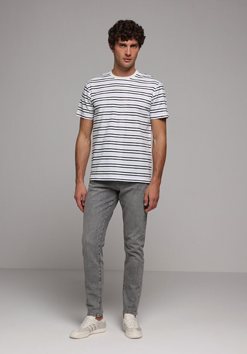 Regular Fit Yuvarlak Yaka Çizgili Erkek Mavi Kısa Kol Tişört