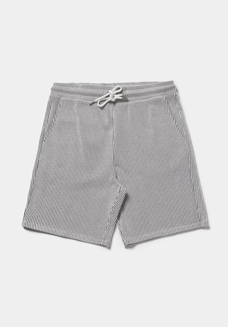 Regular Fit Orta Bel Çizgili Erkek Gri Şort
