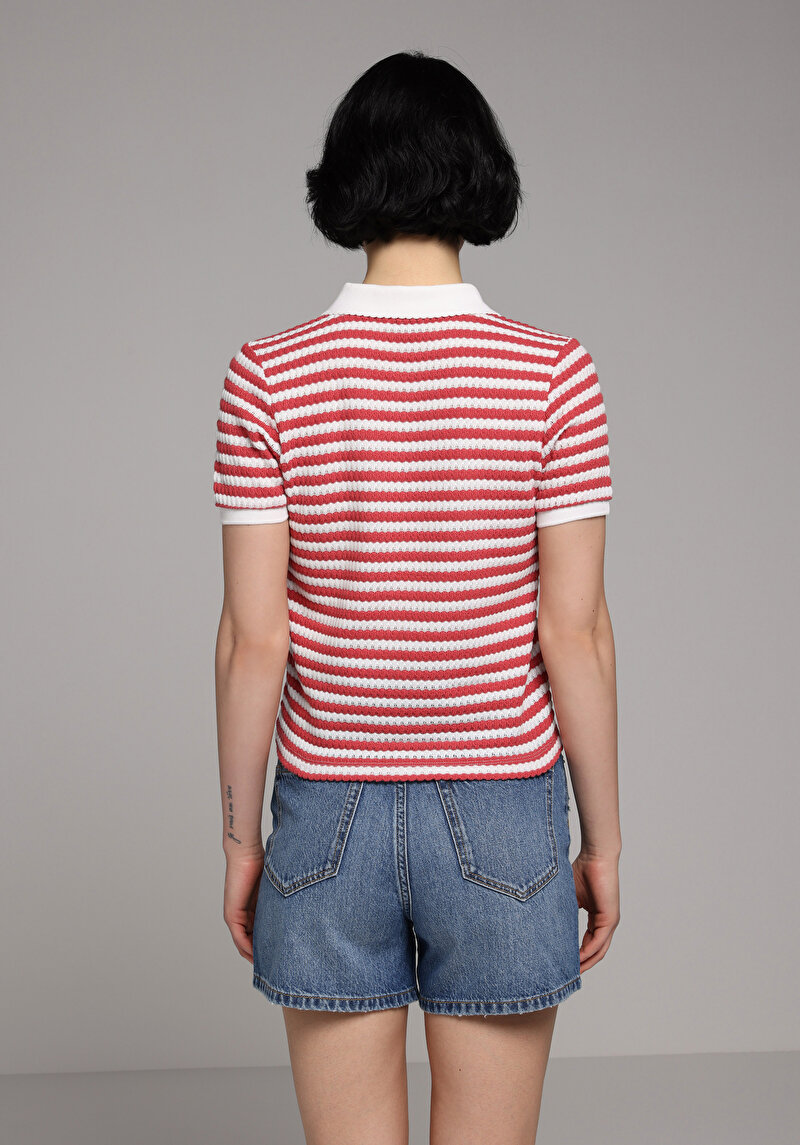 Slim Fit Polo Yaka Çizgili Kadın Kirmizi Kısa Kol Tişört