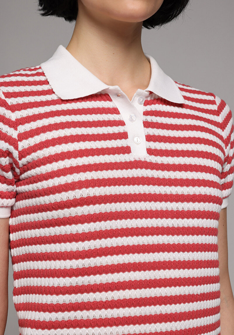 Slim Fit Polo Yaka Çizgili Kadın Kirmizi Kısa Kol Tişört