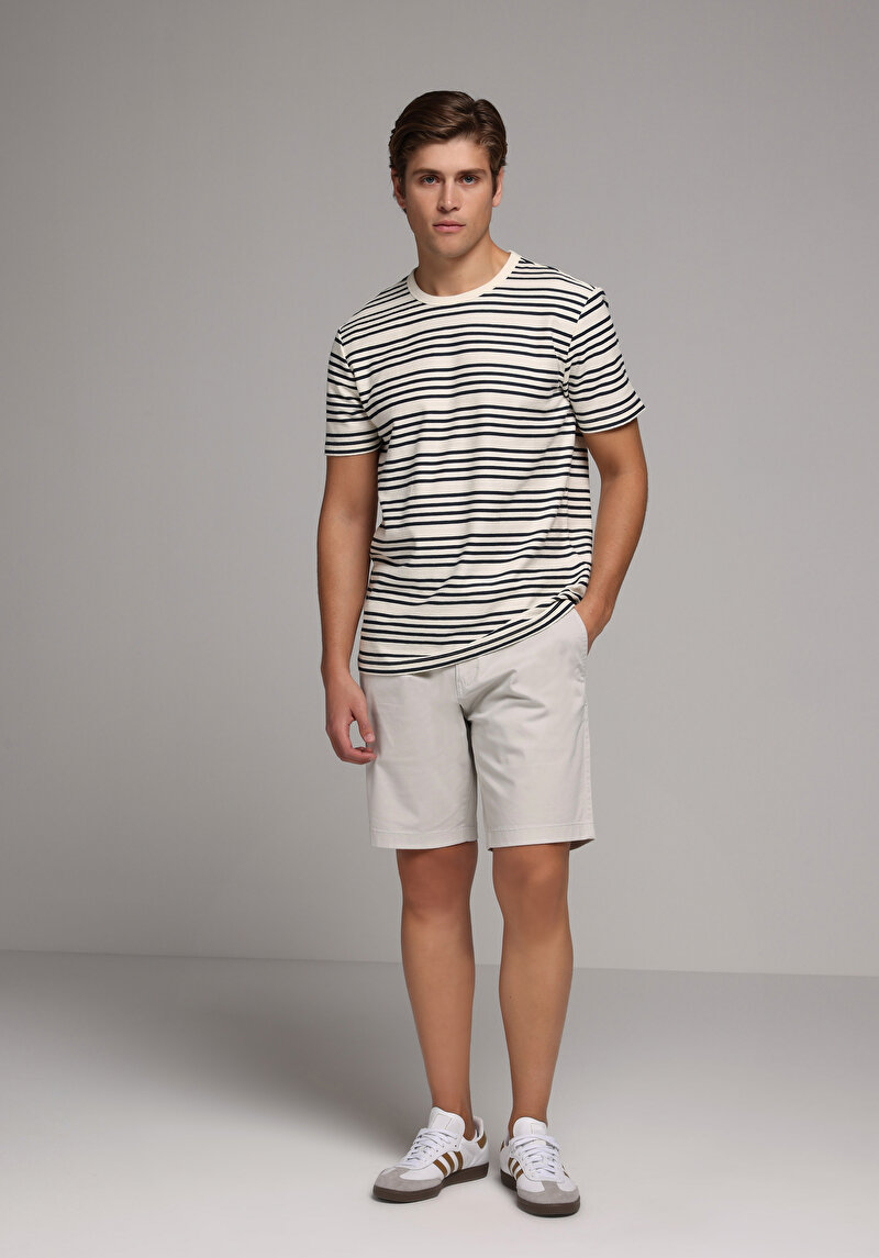 Regular Fit Yuvarlak Yaka Çizgili Erkek Lacivert Kısa Kol Tişört