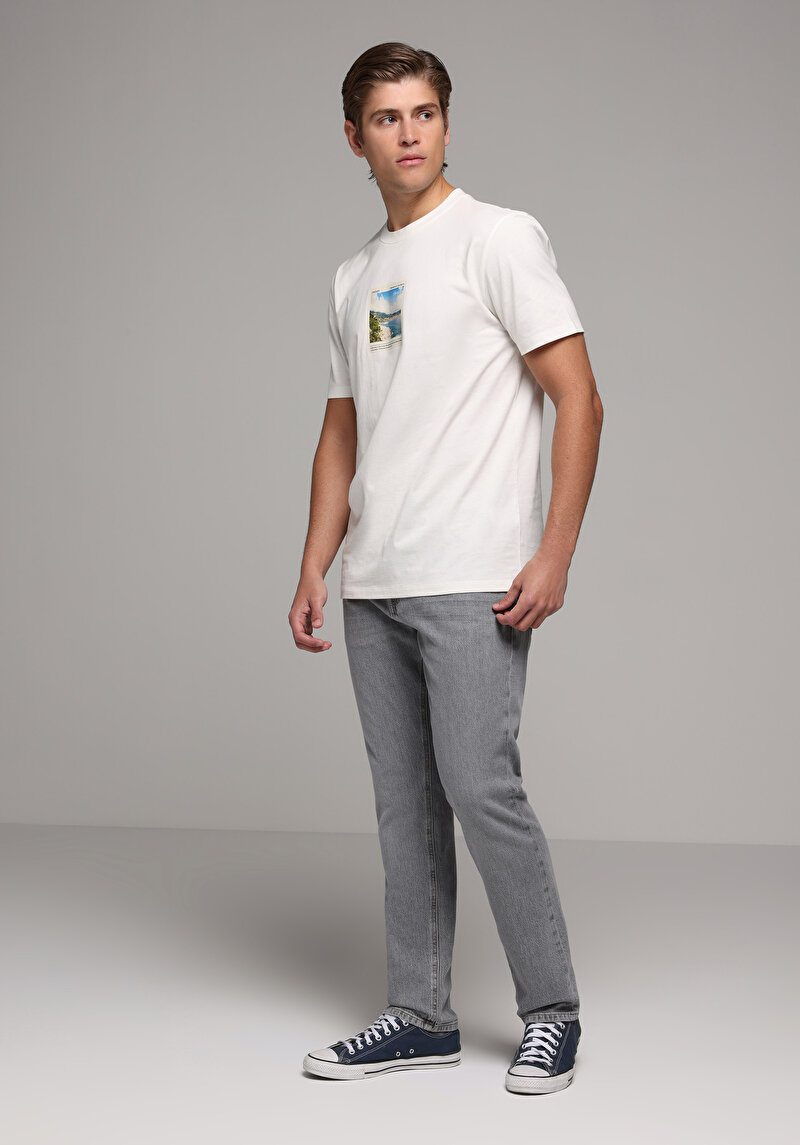 Regular Fit   Erkek Grey Denim Jean Pantolon