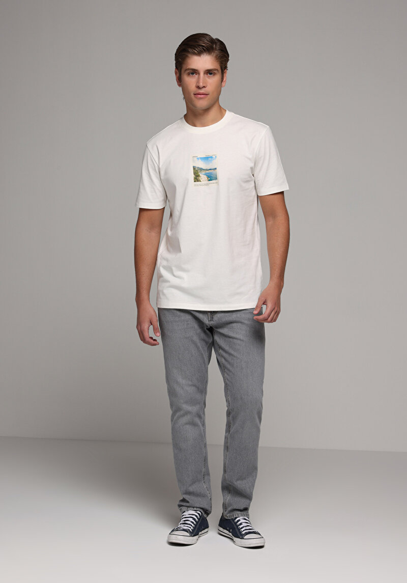 Regular Fit   Erkek Grey Denim Jean Pantolon