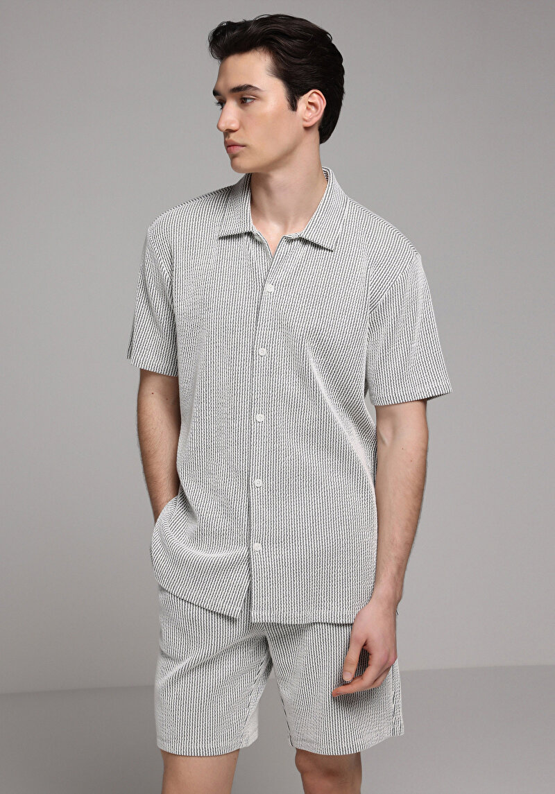 Regular Fit Polo Yaka Çizgili Erkek Gri Kısa Kol Tişört