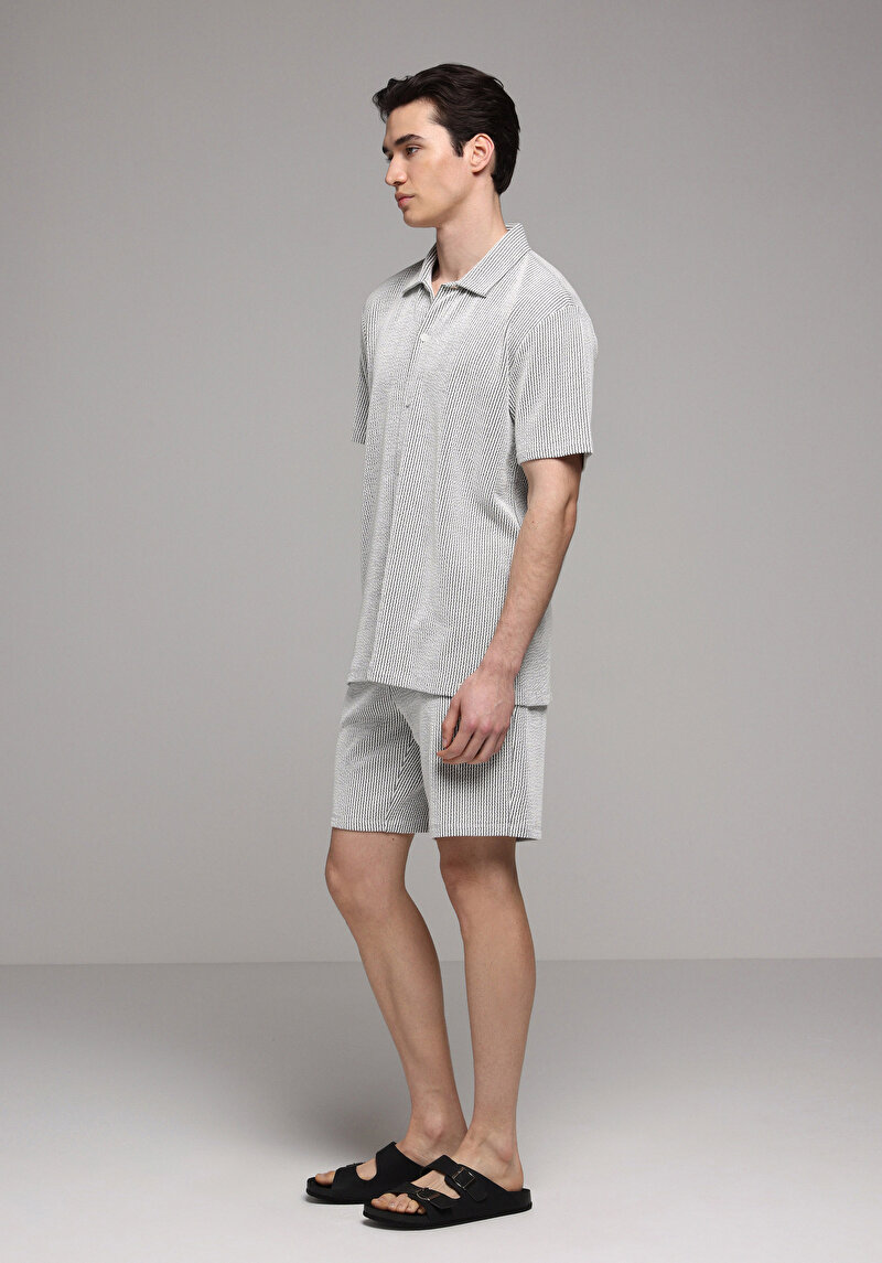 Regular Fit Orta Bel Çizgili Erkek Gri Şort