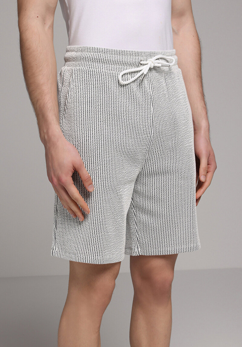 Regular Fit Orta Bel Çizgili Erkek Gri Şort