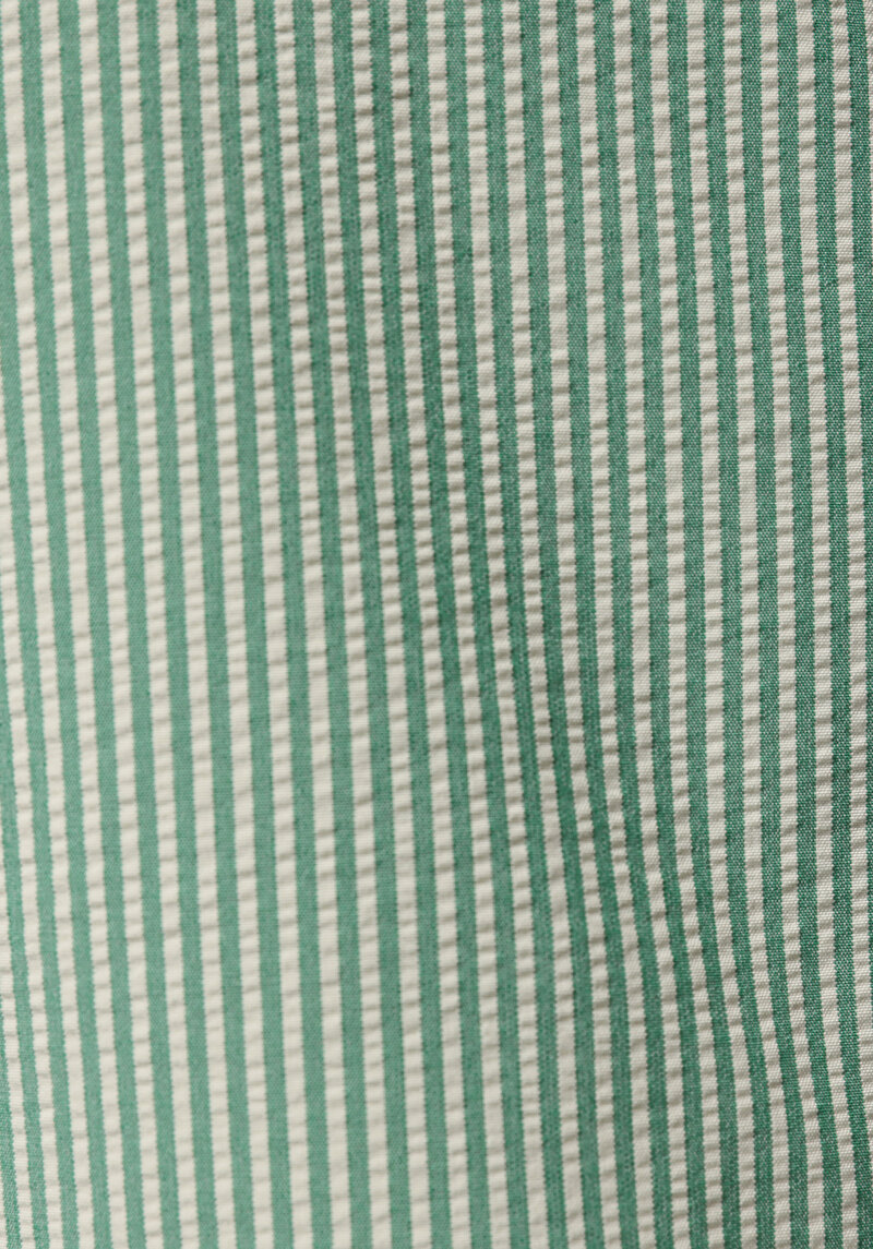 Slim Fit Çizgili Erkek Yeşil Deniz Şortu