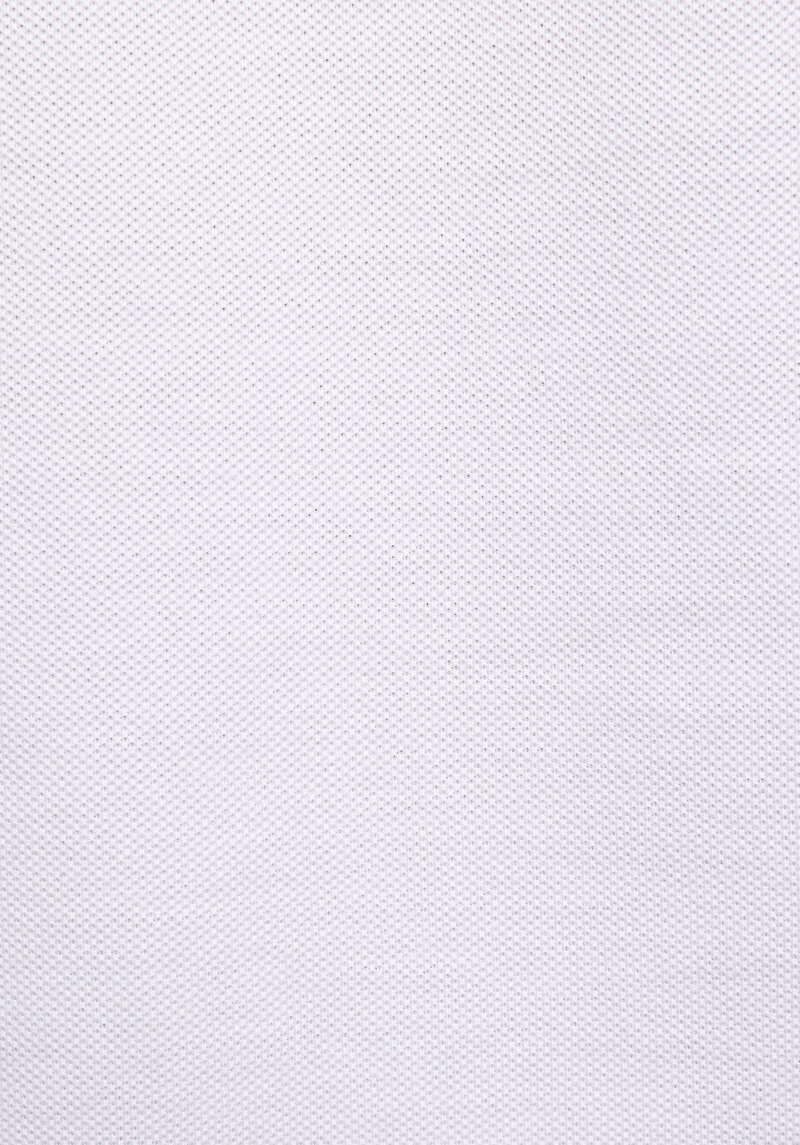 Regular Fit Polo Yaka Nakışlı Kadın Beyaz Kısa Kol Tişört