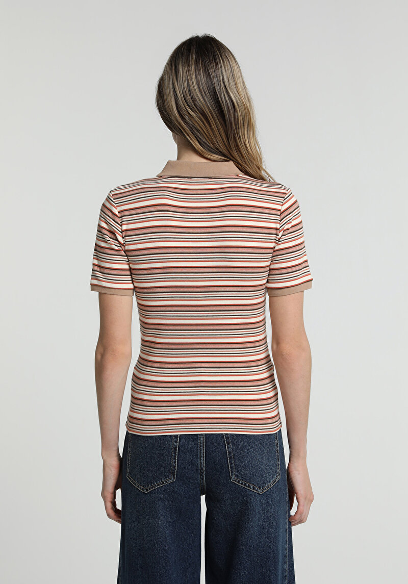 Slim Fit Polo Yaka Çizgili Kadın Çok Renkli Kısa Kol Tişört